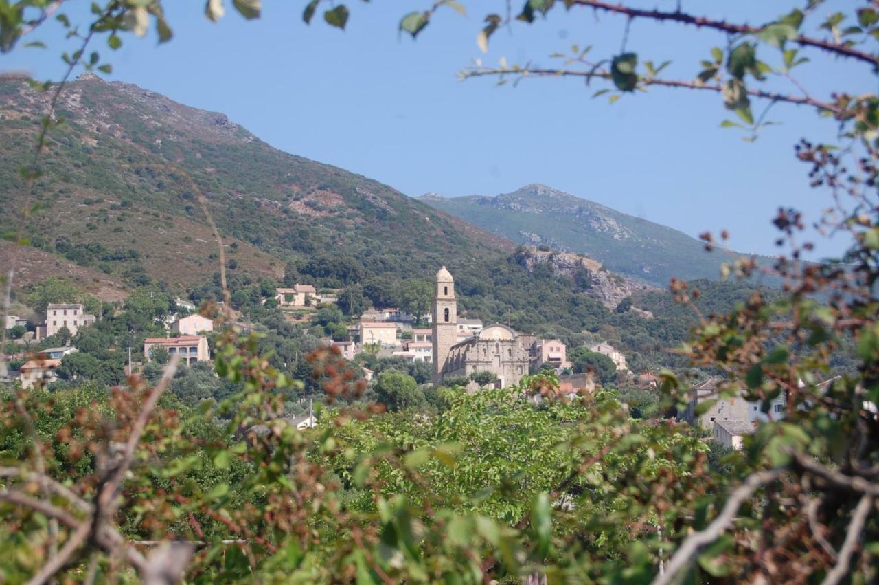Villa Aghjanella パトリモニオ エクステリア 写真